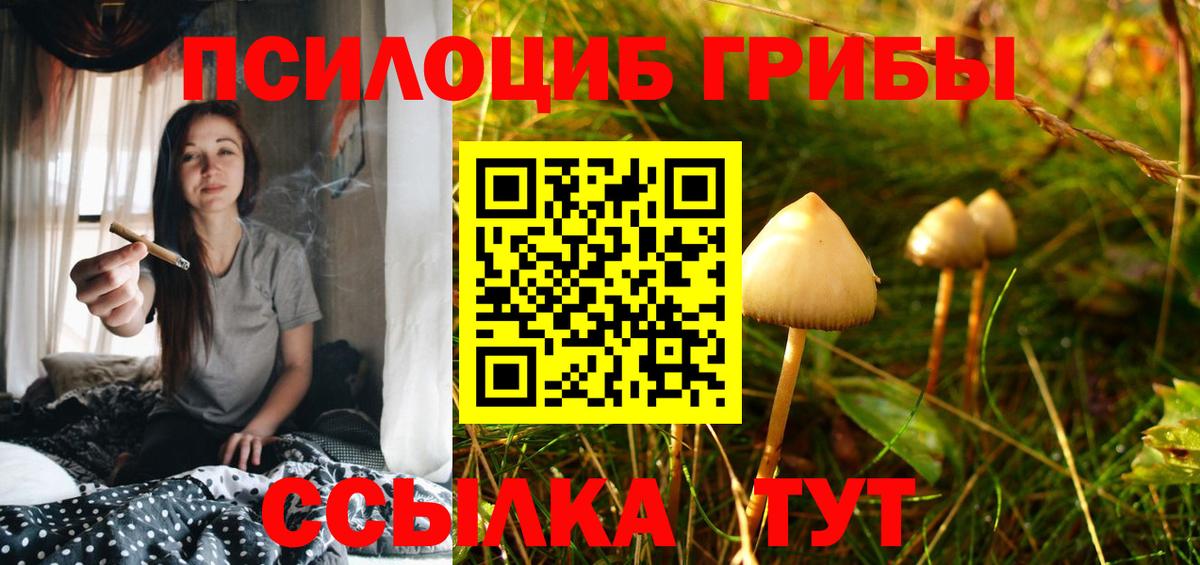 Галлюциногенные грибы MAGIC MUSHROOMS  Вход с VPN  Рузаевка 